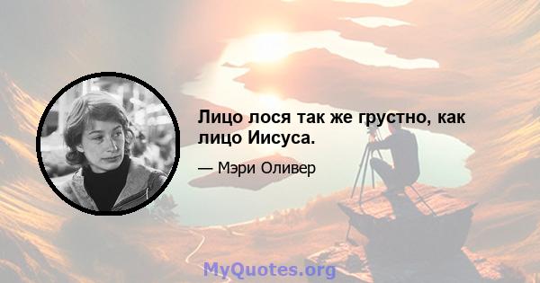 Лицо лося так же грустно, как лицо Иисуса.