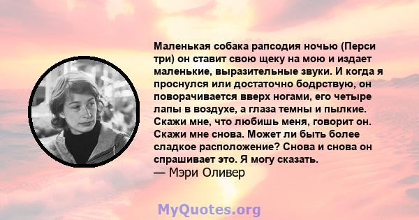 Маленькая собака рапсодия ночью (Перси три) он ставит свою щеку на мою и издает маленькие, выразительные звуки. И когда я проснулся или достаточно бодрствую, он поворачивается вверх ногами, его четыре лапы в воздухе, а