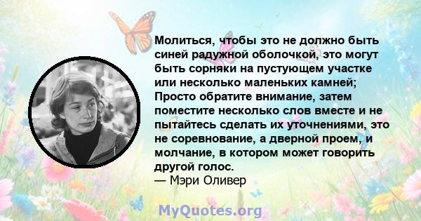 Молиться, чтобы это не должно быть синей радужной оболочкой, это могут быть сорняки на пустующем участке или несколько маленьких камней; Просто обратите внимание, затем поместите несколько слов вместе и не пытайтесь