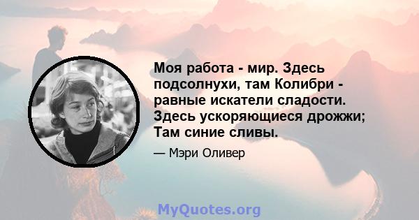 Моя работа - мир. Здесь подсолнухи, там Колибри - равные искатели сладости. Здесь ускоряющиеся дрожжи; Там синие сливы.