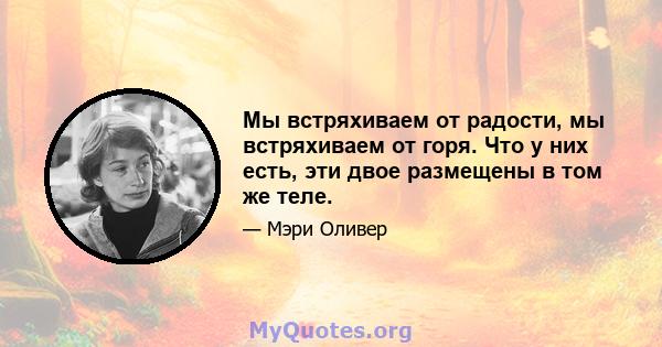 Мы встряхиваем от радости, мы встряхиваем от горя. Что у них есть, эти двое размещены в том же теле.