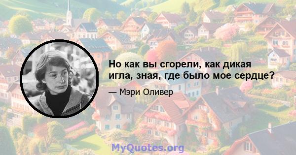 Но как вы сгорели, как дикая игла, зная, где было мое сердце?