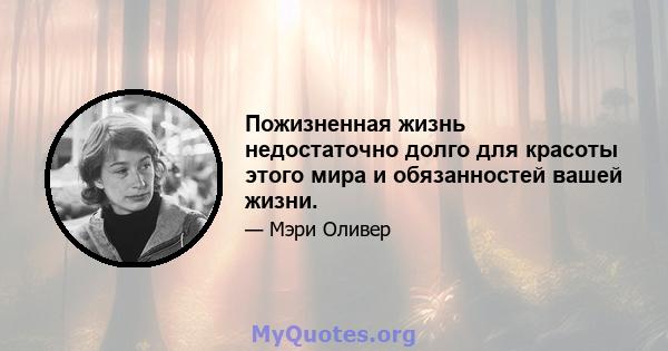 Пожизненная жизнь недостаточно долго для красоты этого мира и обязанностей вашей жизни.