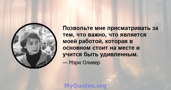 Позвольте мне присматривать за тем, что важно, что является моей работой, которая в основном стоит на месте и учится быть удивленным.