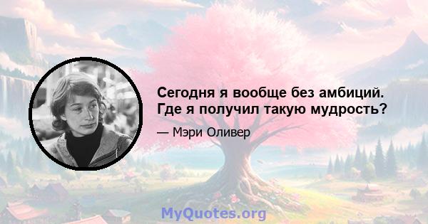 Сегодня я вообще без амбиций. Где я получил такую ​​мудрость?