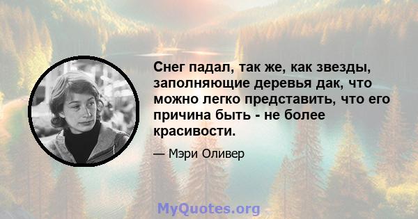 Снег падал, так же, как звезды, заполняющие деревья дак, что можно легко представить, что его причина быть - не более красивости.