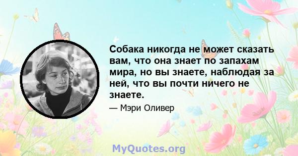 Собака никогда не может сказать вам, что она знает по запахам мира, но вы знаете, наблюдая за ней, что вы почти ничего не знаете.