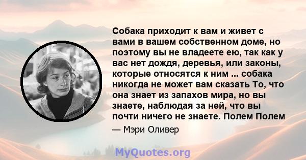 Собака приходит к вам и живет с вами в вашем собственном доме, но поэтому вы не владеете ею, так как у вас нет дождя, деревья, или законы, которые относятся к ним ... собака никогда не может вам сказать То, что она