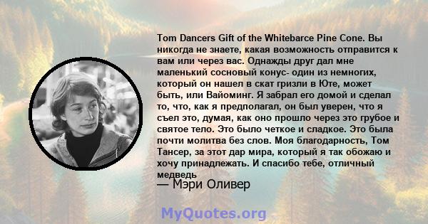 Tom Dancers Gift of the Whitebarce Pine Cone. Вы никогда не знаете, какая возможность отправится к вам или через вас. Однажды друг дал мне маленький сосновый конус- один из немногих, который он нашел в скат гризли в