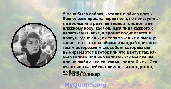 У меня была собака, которая любила цветы. Бесполезно прошла через поля, но приступила к жимочке или розе, ее темной головой и ее влажному носу, касающимся лица каждого с лепестками шелка, а аромат поднимается в воздух,