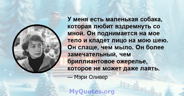 У меня есть маленькая собака, которая любит вздремнуть со мной. Он поднимается на мое тело и кладет лицо на мою шею. Он слаще, чем мыло. Он более замечательный, чем бриллиантовое ожерелье, которое не может даже лаять.