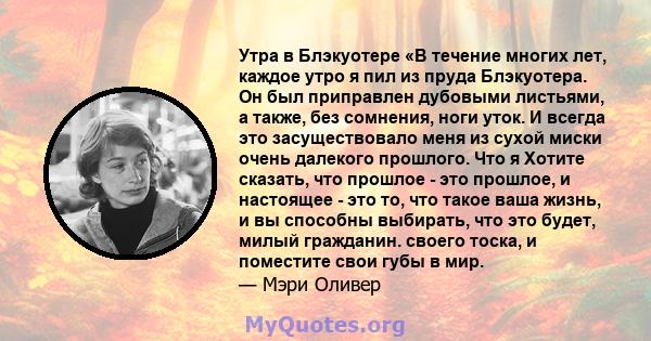 Утра в Блэкуотере «В течение многих лет, каждое утро я пил из пруда Блэкуотера. Он был приправлен дубовыми листьями, а также, без сомнения, ноги уток. И всегда это засуществовало меня из сухой миски очень далекого