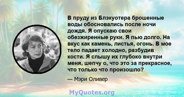 В пруду из Блэкуотера брошенные воды обосновались после ночи дождя. Я опускаю свои обезжиренные руки. Я пью долго. На вкус как камень, листья, огонь. В мое тело падает холодно, разбудив кости. Я слышу их глубоко внутри