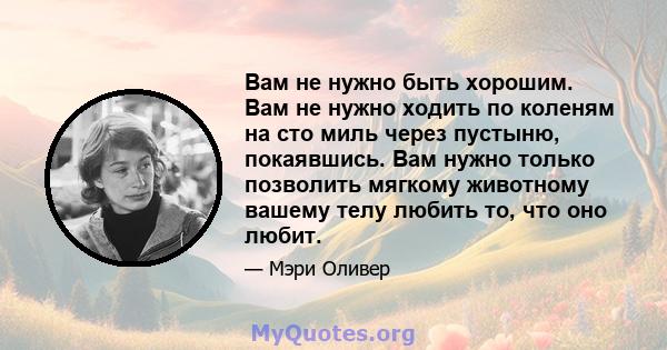 Вам не нужно быть хорошим. Вам не нужно ходить по коленям на сто миль через пустыню, покаявшись. Вам нужно только позволить мягкому животному вашему телу любить то, что оно любит.