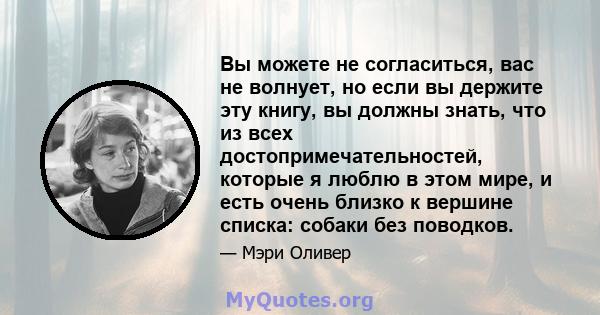 Вы можете не согласиться, вас не волнует, но если вы держите эту книгу, вы должны знать, что из всех достопримечательностей, которые я люблю в этом мире, и есть очень близко к вершине списка: собаки без поводков.