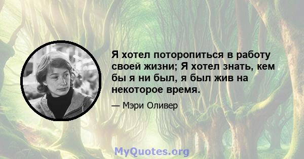 Я хотел поторопиться в работу своей жизни; Я хотел знать, кем бы я ни был, я был жив на некоторое время.