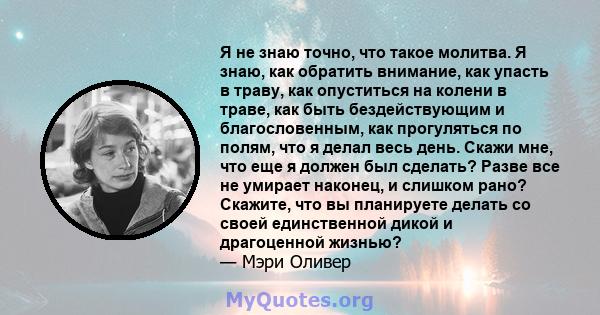 Я не знаю точно, что такое молитва. Я знаю, как обратить внимание, как упасть в траву, как опуститься на колени в траве, как быть бездействующим и благословенным, как прогуляться по полям, что я делал весь день. Скажи