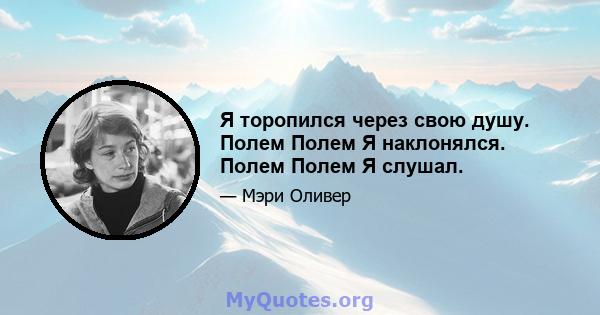 Я торопился через свою душу. Полем Полем Я наклонялся. Полем Полем Я слушал.