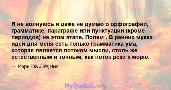 Я не волнуюсь и даже не думаю о орфографии, грамматике, параграфе или пунктуации (кроме периодов) на этом этапе. Полем . В ранних муках идеи для меня есть только грамматика ума, которая является потоком мысли, столь же