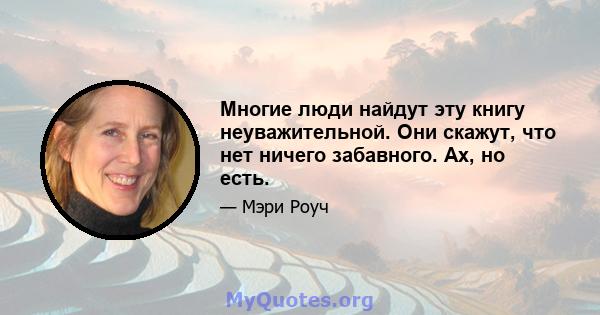 Многие люди найдут эту книгу неуважительной. Они скажут, что нет ничего забавного. Ах, но есть.