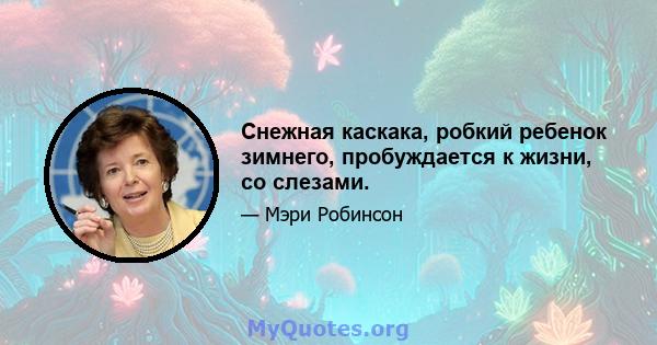 Снежная каскака, робкий ребенок зимнего, пробуждается к жизни, со слезами.