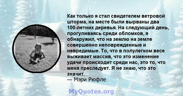 Как только я стал свидетелем ветровой шторма, на месте были вырваны два 100-летних деревья. На следующий день, прогуливаясь среди обломков, я обнаружил, что на землю на земле совершенно неповрежденные и невредимые. То,