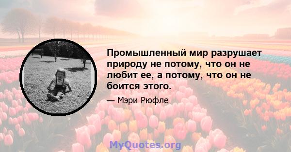 Промышленный мир разрушает природу не потому, что он не любит ее, а потому, что он не боится этого.