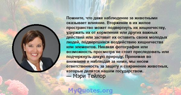 Помните, что даже наблюдение за животными оказывает влияние. Вторжение в их жилое пространство может подвергнуть их хищничеству, удержать их от кормления или других важных действий или заставит их оставить своих молодых 