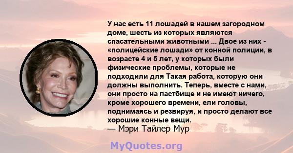 У нас есть 11 лошадей в нашем загородном доме, шесть из которых являются спасательными животными ... Двое из них - «полицейские лошади» от конной полиции, в возрасте 4 и 5 лет, у которых были физические проблемы,