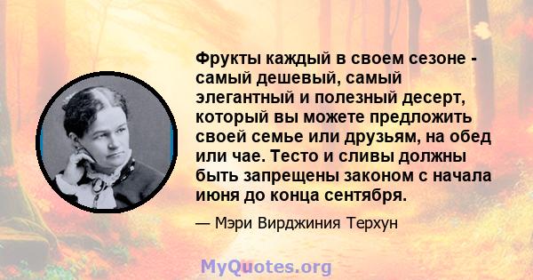 Фрукты каждый в своем сезоне - самый дешевый, самый элегантный и полезный десерт, который вы можете предложить своей семье или друзьям, на обед или чае. Тесто и сливы должны быть запрещены законом с начала июня до конца 