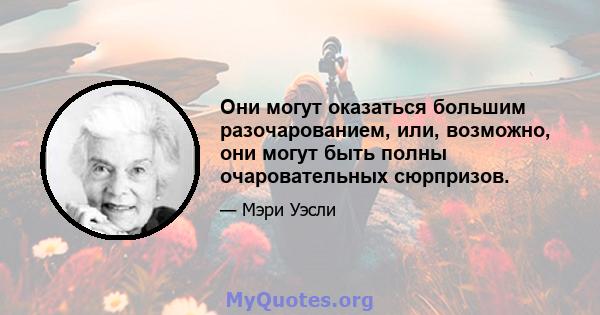 Они могут оказаться большим разочарованием, или, возможно, они могут быть полны очаровательных сюрпризов.