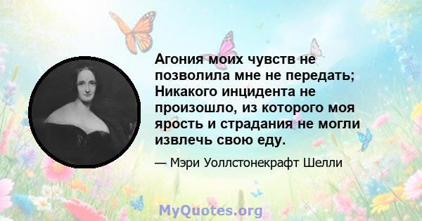 Агония моих чувств не позволила мне не передать; Никакого инцидента не произошло, из которого моя ярость и страдания не могли извлечь свою еду.