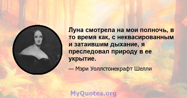 Луна смотрела на мои полночь, в то время как, с неквасированным и затаившим дыхание, я преследовал природу в ее укрытие.