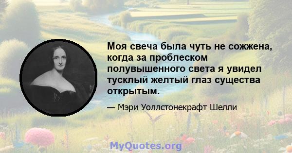 Моя свеча была чуть не сожжена, когда за проблеском полувышенного света я увидел тусклый желтый глаз существа открытым.