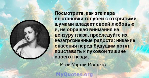 Посмотрите, как эта пара выстановки голубей с открытыми шумами владеет своей любовью и, не обращая внимания на цензуру глаза, преследуйте их незагрязненные радости: никакие опасения перед будущим хотят приставать к