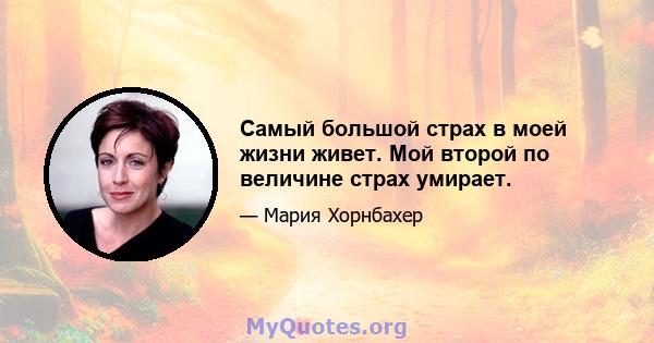 Самый большой страх в моей жизни живет. Мой второй по величине страх умирает.