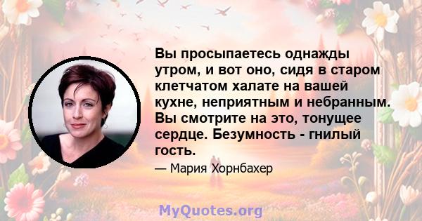 Вы просыпаетесь однажды утром, и вот оно, сидя в старом клетчатом халате на вашей кухне, неприятным и небранным. Вы смотрите на это, тонущее сердце. Безумность - гнилый гость.