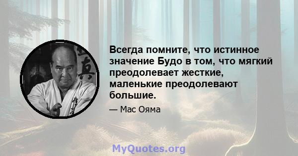 Всегда помните, что истинное значение Будо в том, что мягкий преодолевает жесткие, маленькие преодолевают большие.