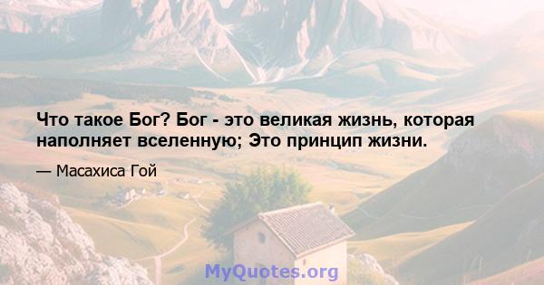 Что такое Бог? Бог - это великая жизнь, которая наполняет вселенную; Это принцип жизни.