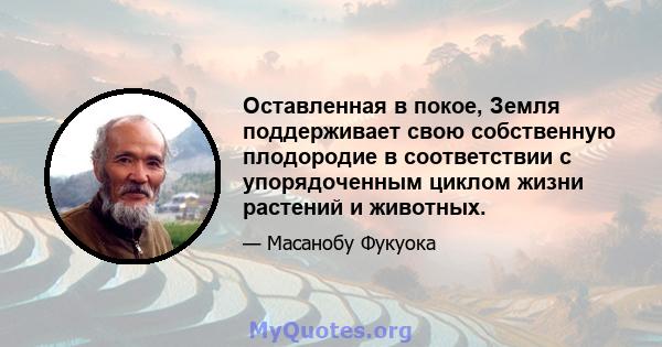 Оставленная в покое, Земля поддерживает свою собственную плодородие в соответствии с упорядоченным циклом жизни растений и животных.