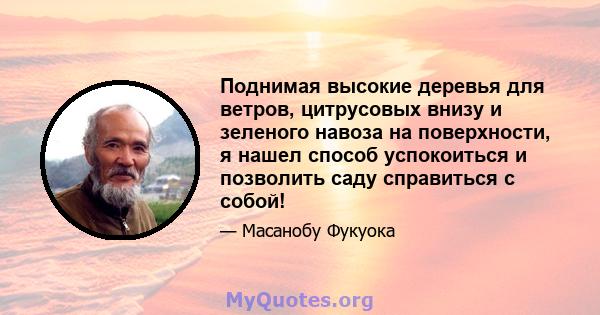 Поднимая высокие деревья для ветров, цитрусовых внизу и зеленого навоза на поверхности, я нашел способ успокоиться и позволить саду справиться с собой!