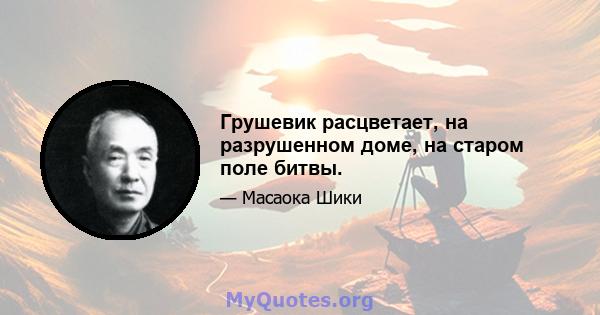 Грушевик расцветает, на разрушенном доме, на старом поле битвы.