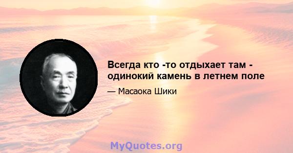 Всегда кто -то отдыхает там - одинокий камень в летнем поле