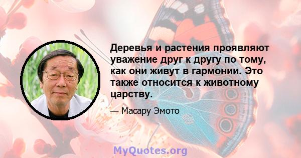 Деревья и растения проявляют уважение друг к другу по тому, как они живут в гармонии. Это также относится к животному царству.