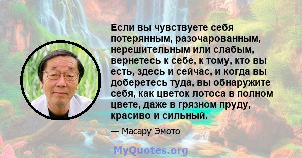 Если вы чувствуете себя потерянным, разочарованным, нерешительным или слабым, вернетесь к себе, к тому, кто вы есть, здесь и сейчас, и когда вы доберетесь туда, вы обнаружите себя, как цветок лотоса в полном цвете, даже 