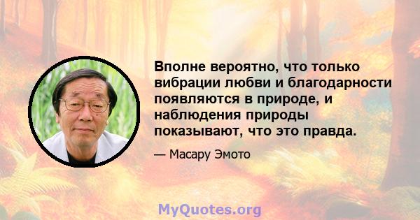 Вполне вероятно, что только вибрации любви и благодарности появляются в природе, и наблюдения природы показывают, что это правда.