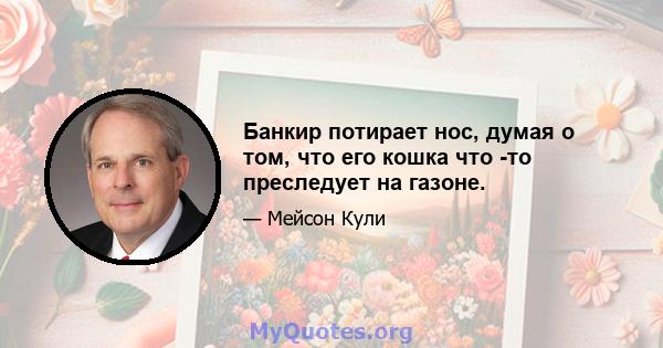 Банкир потирает нос, думая о том, что его кошка что -то преследует на газоне.