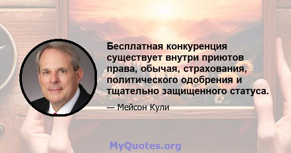 Бесплатная конкуренция существует внутри приютов права, обычая, страхования, политического одобрения и тщательно защищенного статуса.