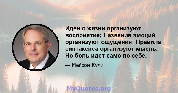 Идеи о жизни организуют восприятие; Названия эмоций организуют ощущения; Правила синтаксиса организуют мысль. Но боль идет само по себе.