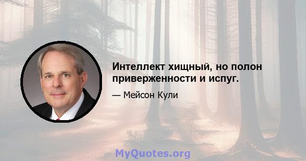 Интеллект хищный, но полон приверженности и испуг.